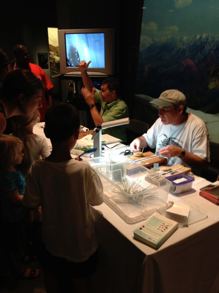 Children crowd around an Academy educator showing live animals at an outreach table.